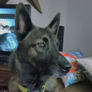 Meet your Posher, Tina